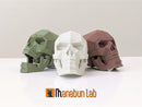 Rompecabezas 3D Magnético Cráneo Calavera