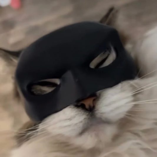 Ultoys BatCat™ Batman Cat Mask